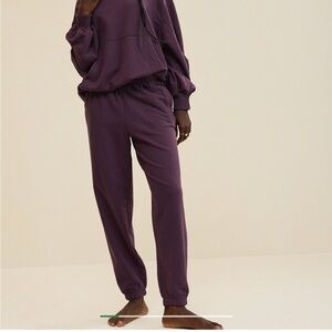 Aerie Women's Purple Jet Setter Jogger Size Large, NWT